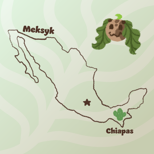 Mexico Chiapas